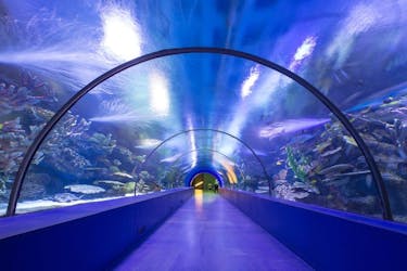 AquaRio – Aquarium van Rio de Janeiro